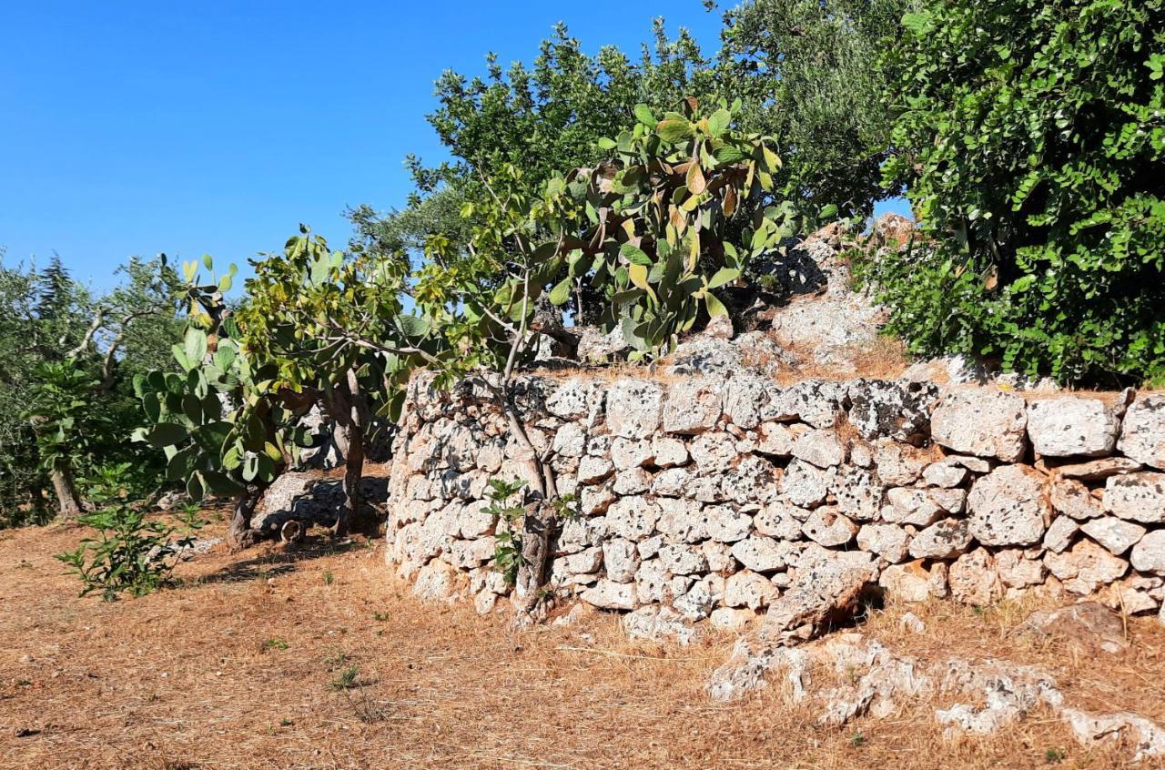 I Due Carrubi Villa Ostuni Ngoại thất bức ảnh