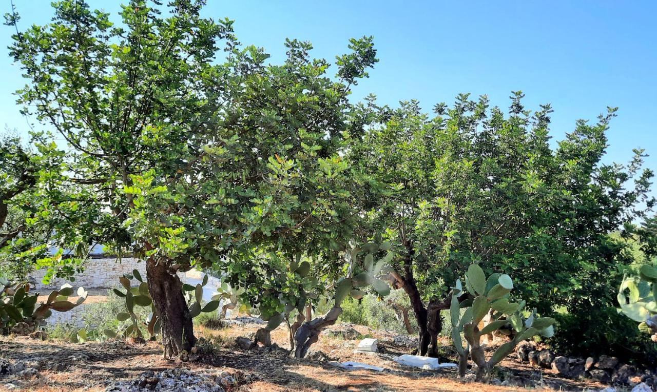 I Due Carrubi Villa Ostuni Ngoại thất bức ảnh