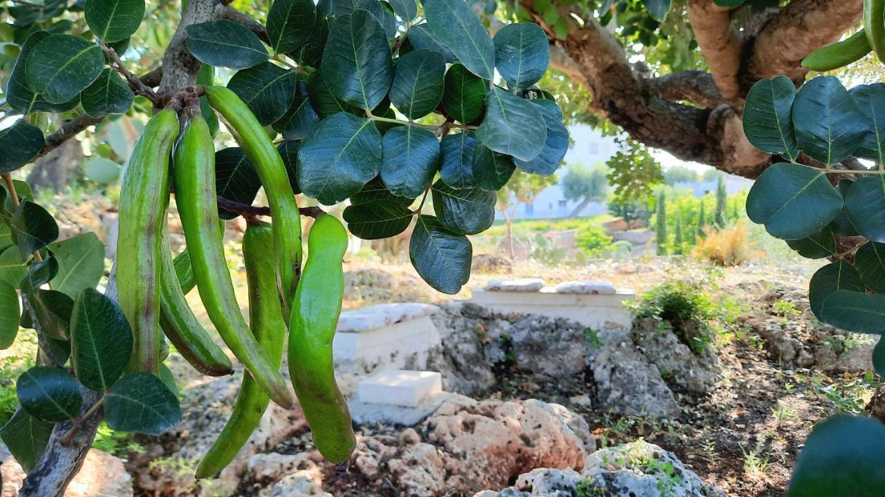 I Due Carrubi Villa Ostuni Ngoại thất bức ảnh